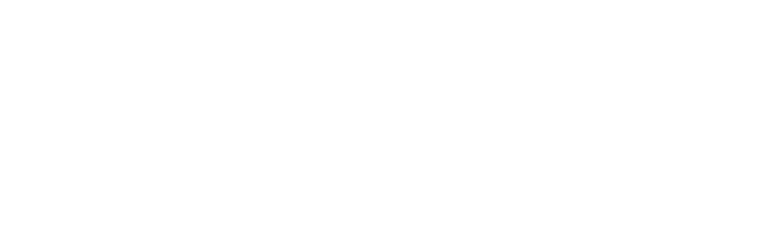 Scritta prometeo come da logo bianca